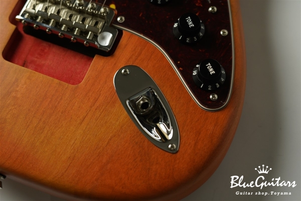 Stories Collection Michael Landau Coma Stratocaster