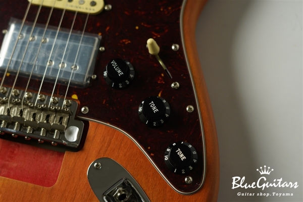 Stories Collection Michael Landau Coma Stratocaster