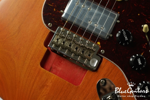 Stories Collection Michael Landau Coma Stratocaster