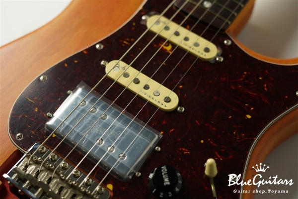 Stories Collection Michael Landau Coma Stratocaster