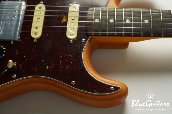 Stories Collection Michael Landau Coma Stratocaster