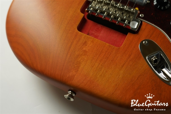 Stories Collection Michael Landau Coma Stratocaster
