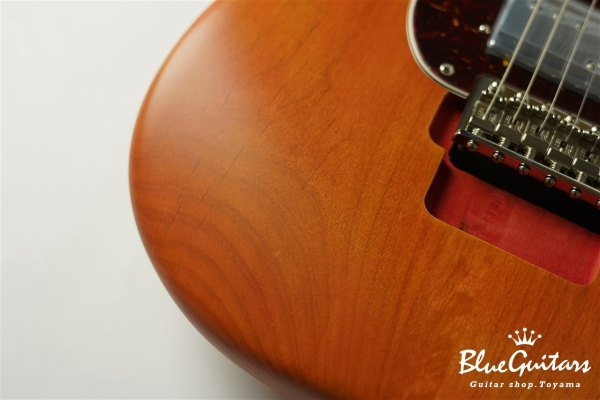 Stories Collection Michael Landau Coma Stratocaster