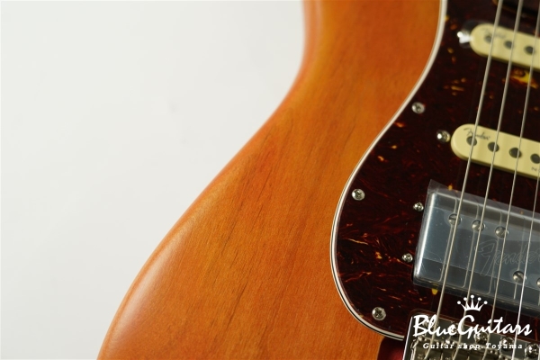 Stories Collection Michael Landau Coma Stratocaster