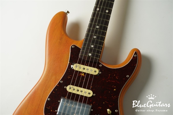 Stories Collection Michael Landau Coma Stratocaster