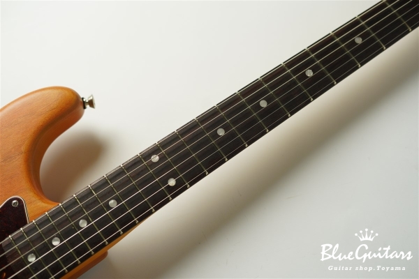 Stories Collection Michael Landau Coma Stratocaster