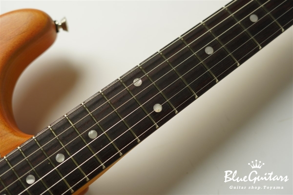 Stories Collection Michael Landau Coma Stratocaster