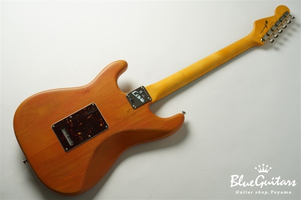Stories Collection Michael Landau Coma Stratocaster
