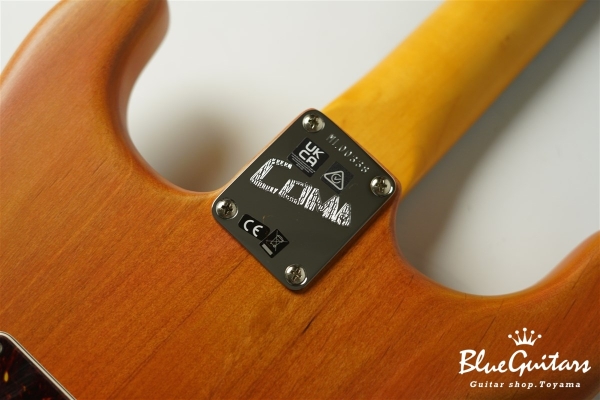Stories Collection Michael Landau Coma Stratocaster