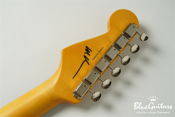 Stories Collection Michael Landau Coma Stratocaster