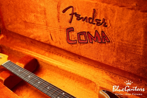 Stories Collection Michael Landau Coma Stratocaster