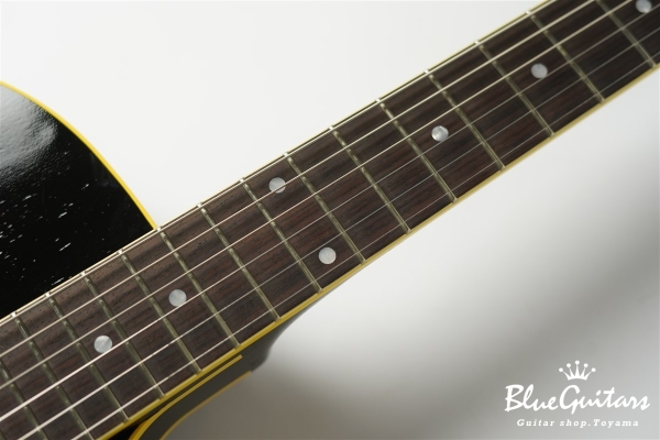 Curtis - Tobacco Sunburst