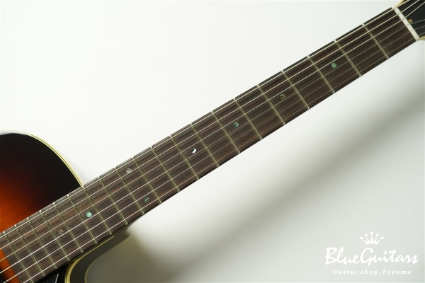 Ladybug SM-C (P-90) - Vintage Sunburst
