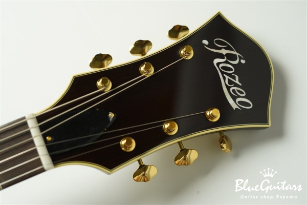 Ladybug SM-C (P-90) - Vintage Sunburst