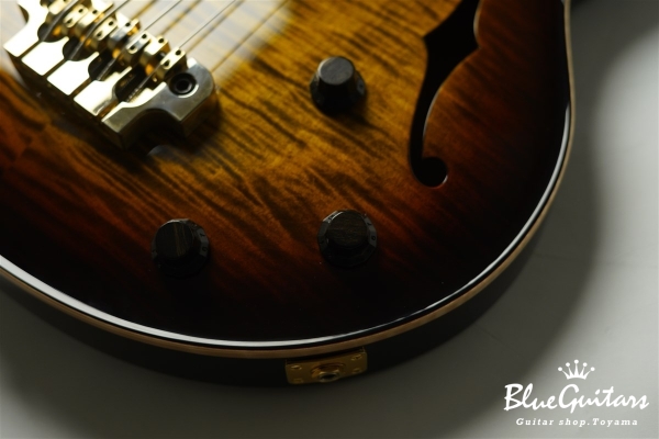 Rietbergen Bass - Tigereye Burst