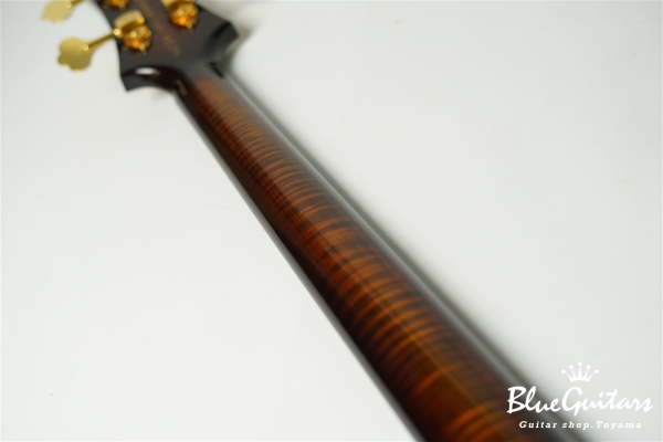 Rietbergen Bass - Tigereye Burst