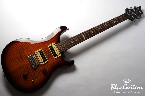 SE Custom 24 - Sunburst
