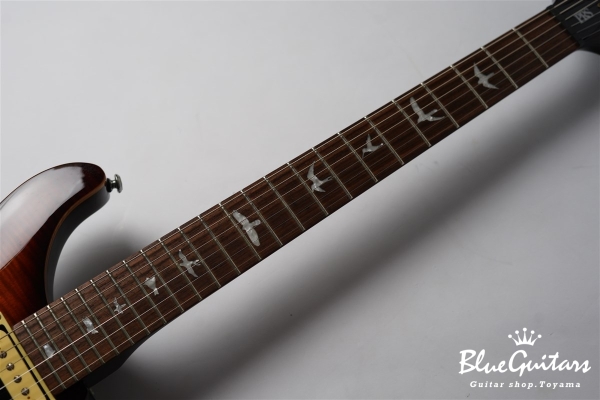 SE Custom 24 - Sunburst