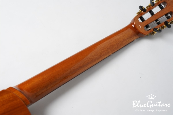 STAGE GUITAR - Natural Amber