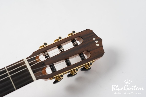 STAGE GUITAR LIMITED - Blue Burst