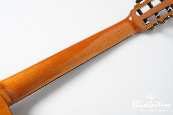 STAGE GUITAR LIMITED - Blue Burst