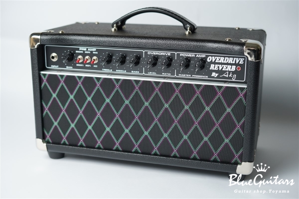 Overdrive Reverb 22W Head