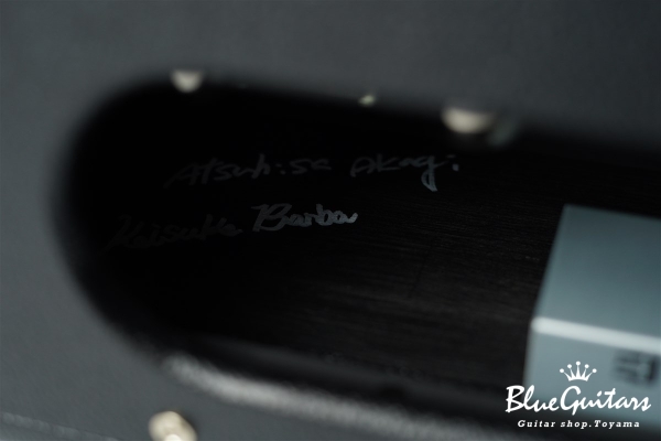 Overdrive Reverb 22W Head