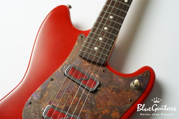 IRIS #172 Medium Aged - Fiesta Red with Copper Red