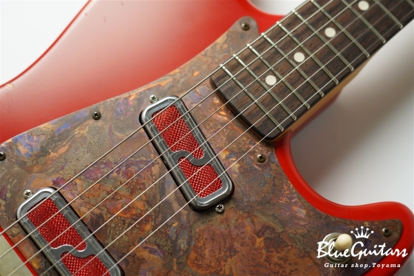 IRIS #172 Medium Aged - Fiesta Red with Copper Red