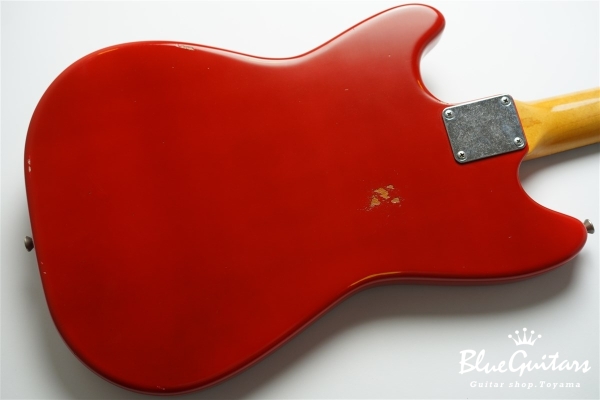 IRIS #172 Medium Aged - Fiesta Red with Copper Red