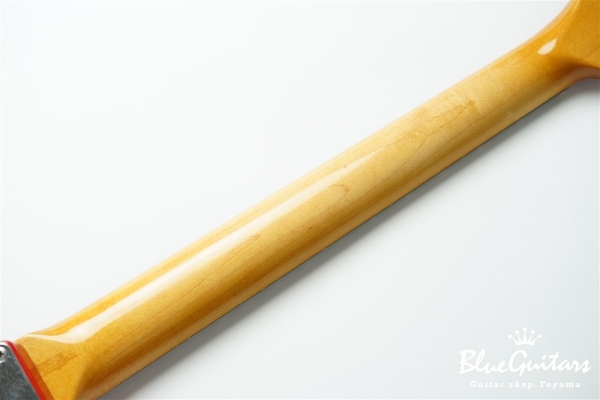 IRIS #172 Medium Aged - Fiesta Red with Copper Red