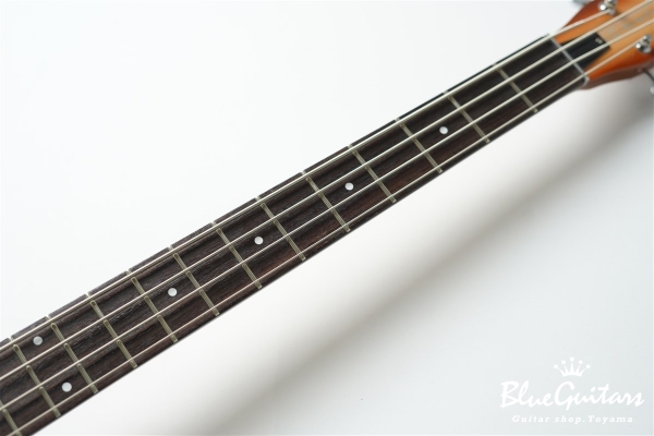 LONGHORN BASS - Copper Burst