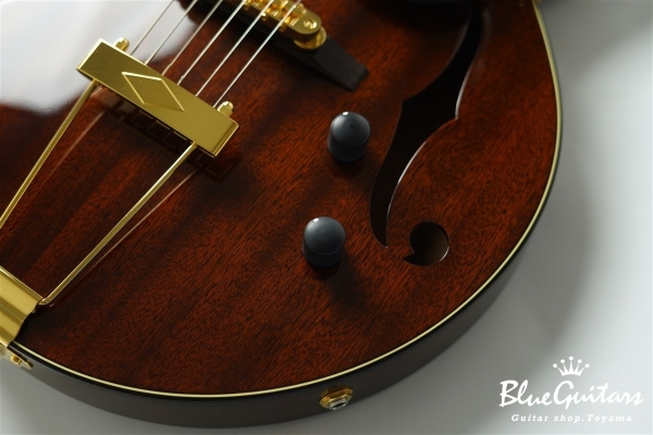 Ladybug Mahogany-TBC (P-90) - Brown