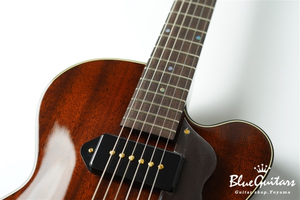 Ladybug Mahogany-TBC (P-90) - Brown