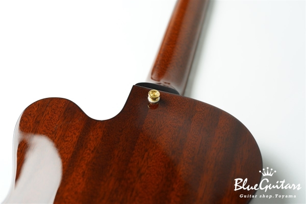 Ladybug Mahogany-TBC (P-90) - Brown