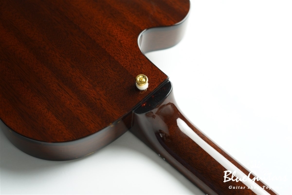 Ladybug Mahogany-TBC (P-90) - Brown