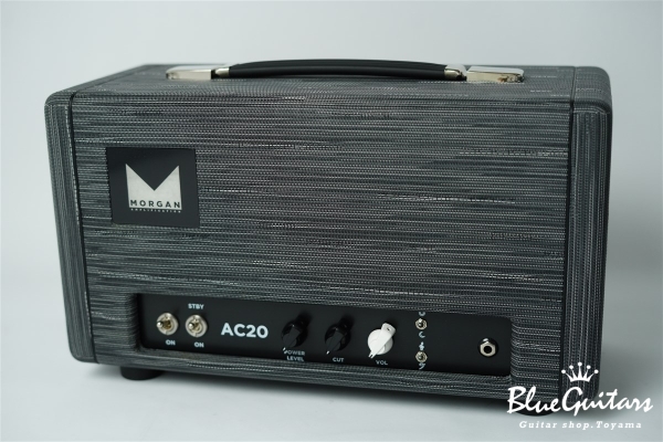 AC-20 HEAD - TWILIGHT