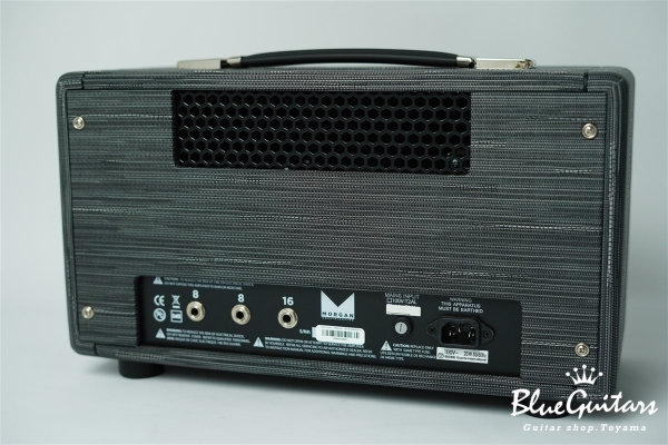 AC-20 HEAD - TWILIGHT