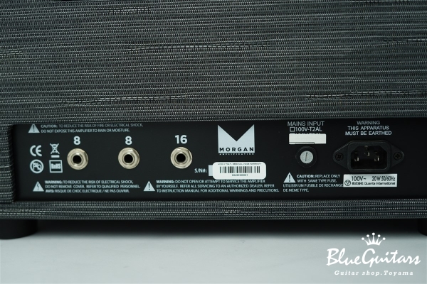 AC-20 HEAD - TWILIGHT