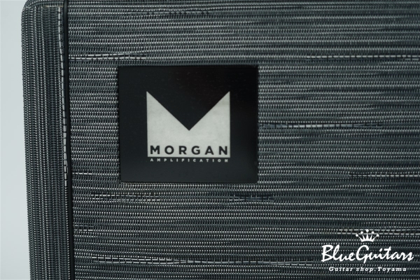 AC-20 HEAD - TWILIGHT