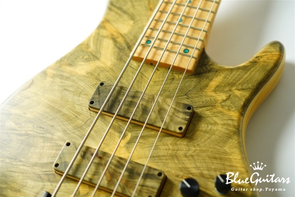 DLS549 #455 10th Anniversary Model
