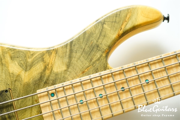 DLS549 #455 10th Anniversary Model
