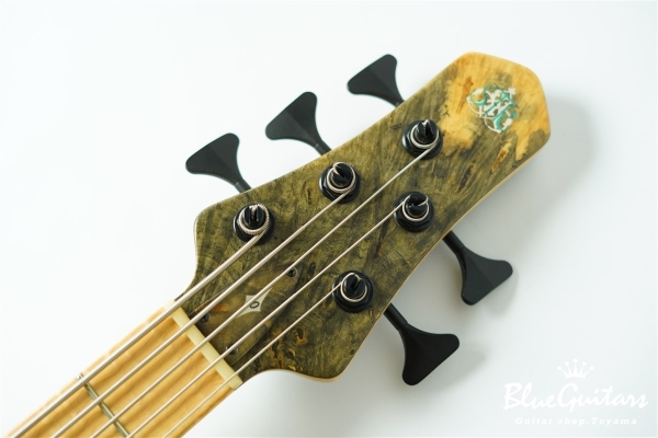 DLS549 #455 10th Anniversary Model