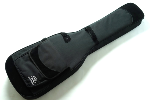 DLS549 #455 10th Anniversary Model