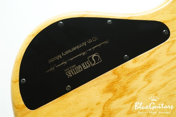 DLS549 #455 10th Anniversary Model