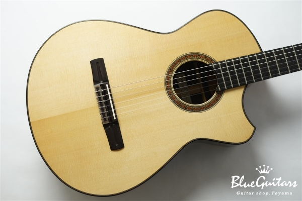 Blue Guitars Online Store