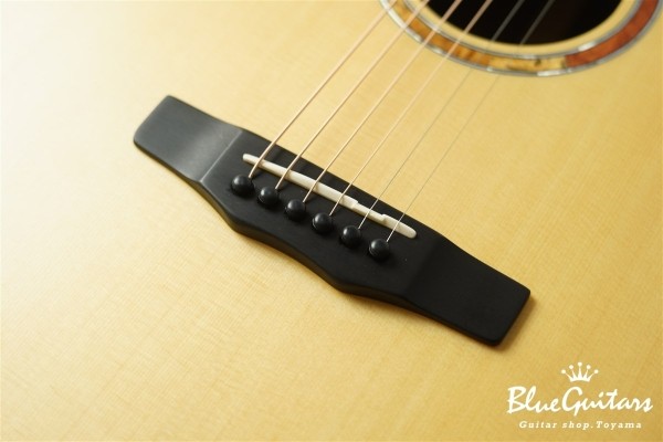 SJ-101REVO