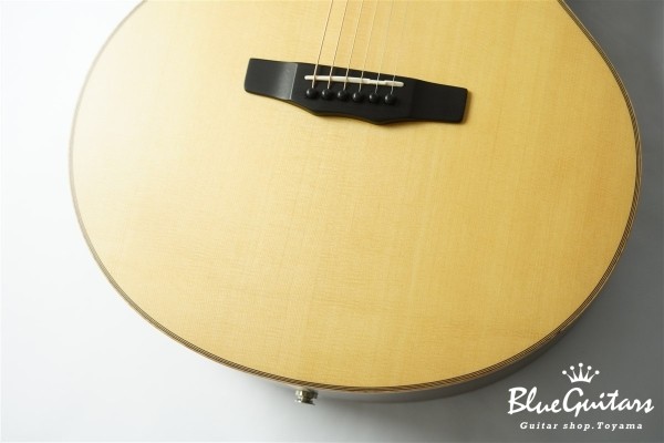 SJ-101REVO