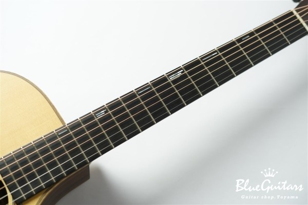 SJ-101REVO