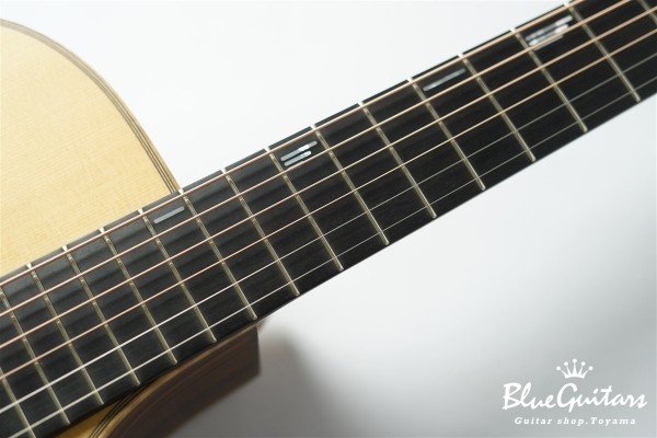 SJ-101REVO